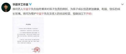 娱乐圈老板吃瓜视频下载,吃瓜视频背后的真相与幕后故事